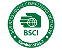 Business Social Compliance Initiative